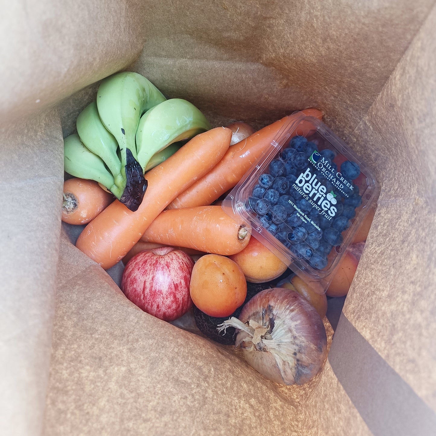$15 Mixed Bag - South New Brighton