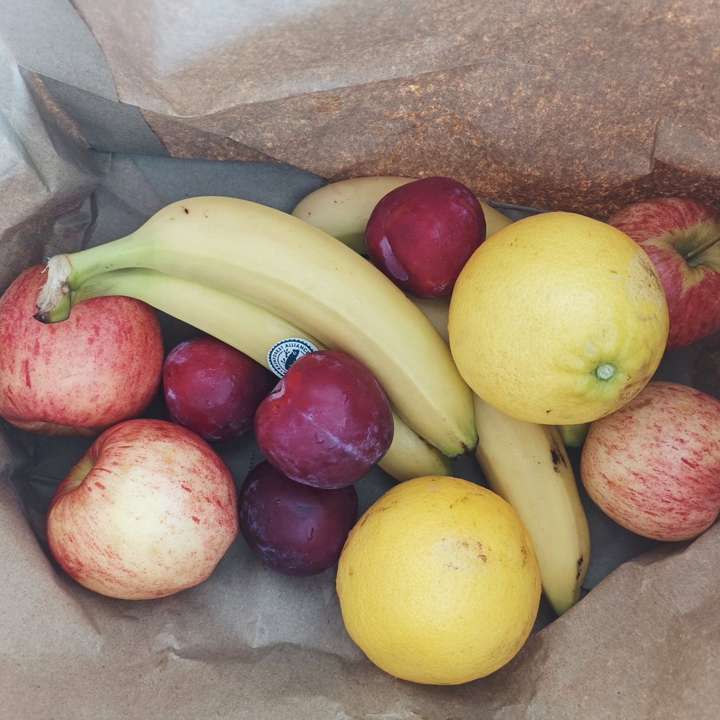 $10 Fruit Bag - Avonside Girl's High School